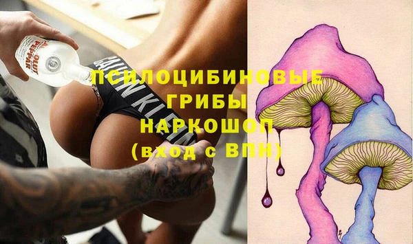 СК Абдулино