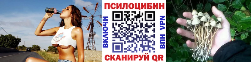 Галлюциногенные грибы Psilocybine cubensis  закладки  Ишимбай 